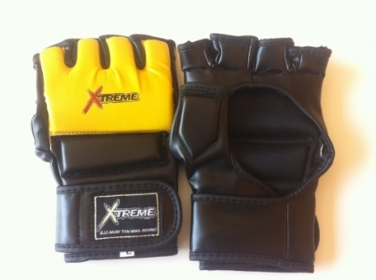 MMA Gloves