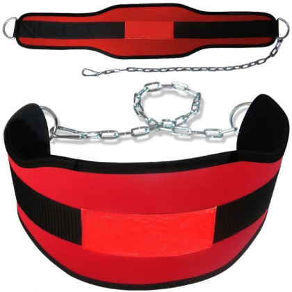 Weight Lifting Belt